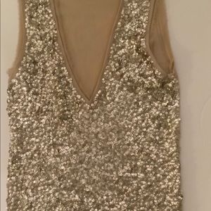 Light Golden Sequined V Neck Top